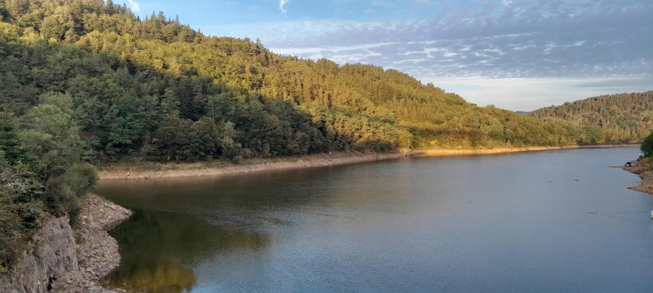 Relais Du Lac De La Truyere Anglards de Saint Flour Buitenkant foto